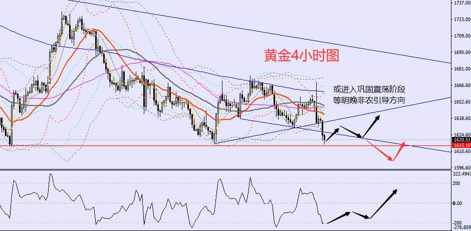 老黑策略：11.3晚盘外汇、黄金、原油分析策略