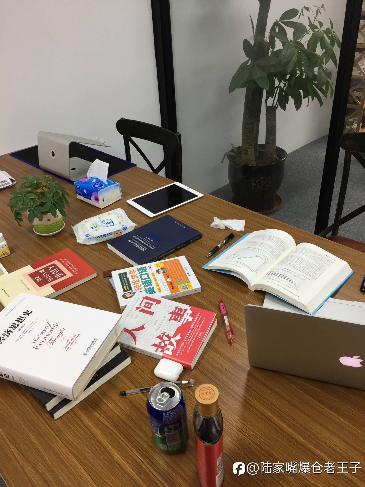 feed-image-1
