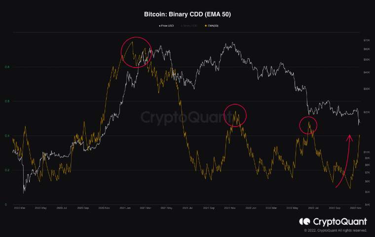 Giá Coin hôm nay 14/11: Bitcoin tiến sát $ 16.000, altcoin rực lửa khi holder dài hạn gia tăng áp lực bán