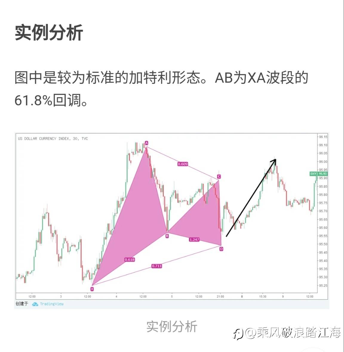 feed-image-3