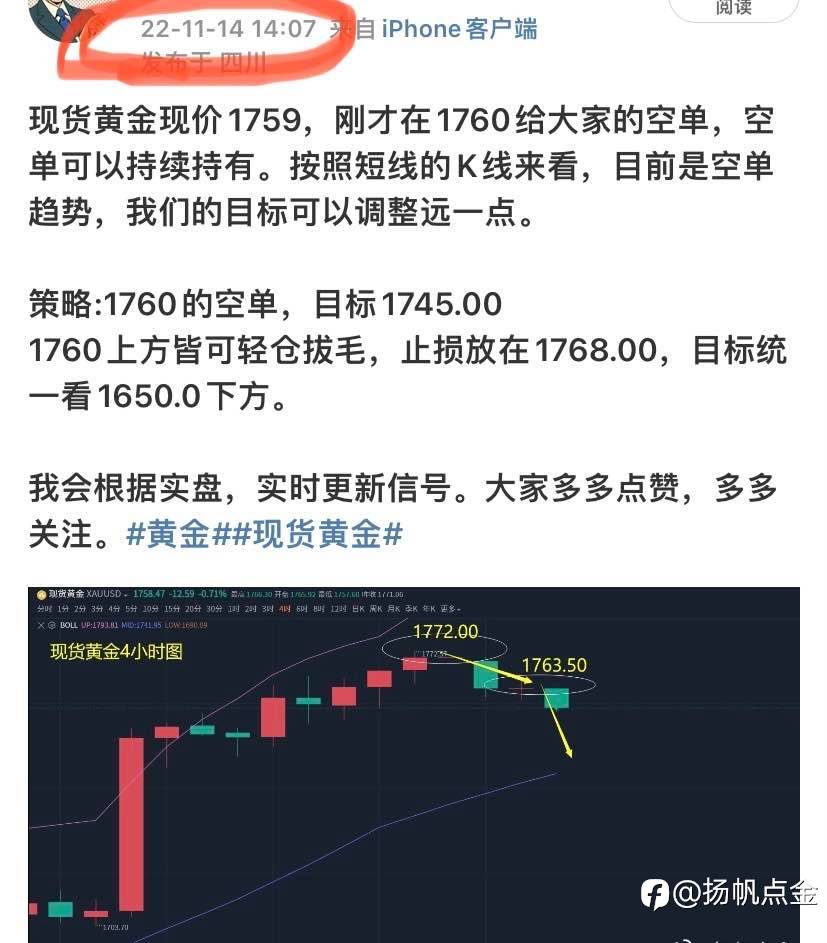 现货黄金盈利单