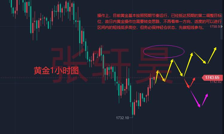张轩昊：讨论通胀降温为时尚早 紧缩政策仍有必要!现货黄金下行压力未解除
