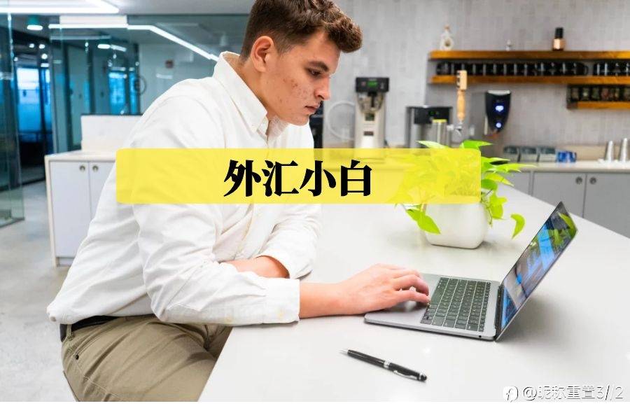 exness:外汇小白如何开始外汇之旅