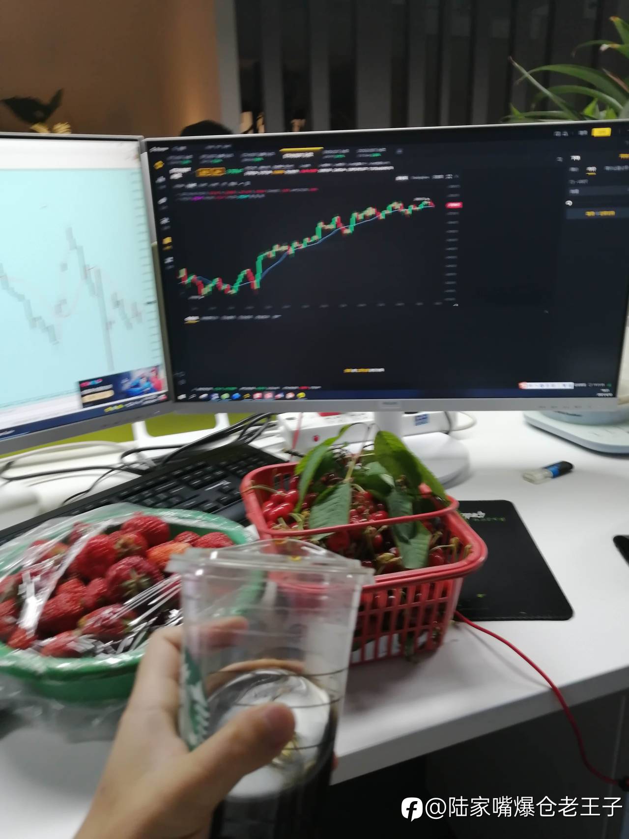 feed-image-2