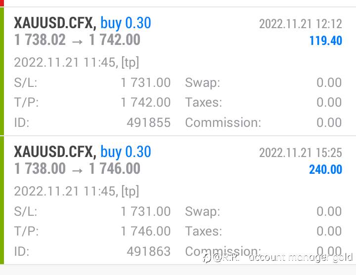 feed-image-1