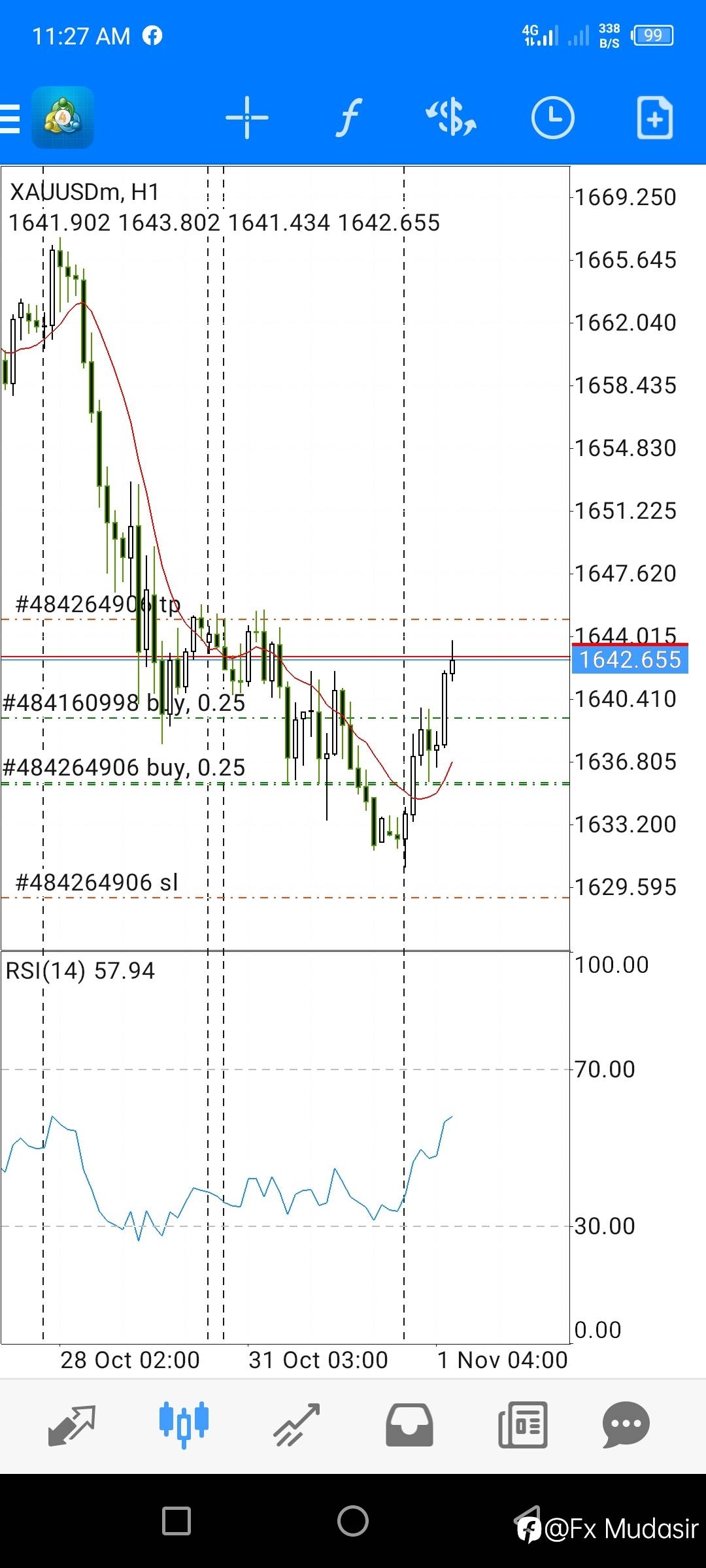 feed-image-1