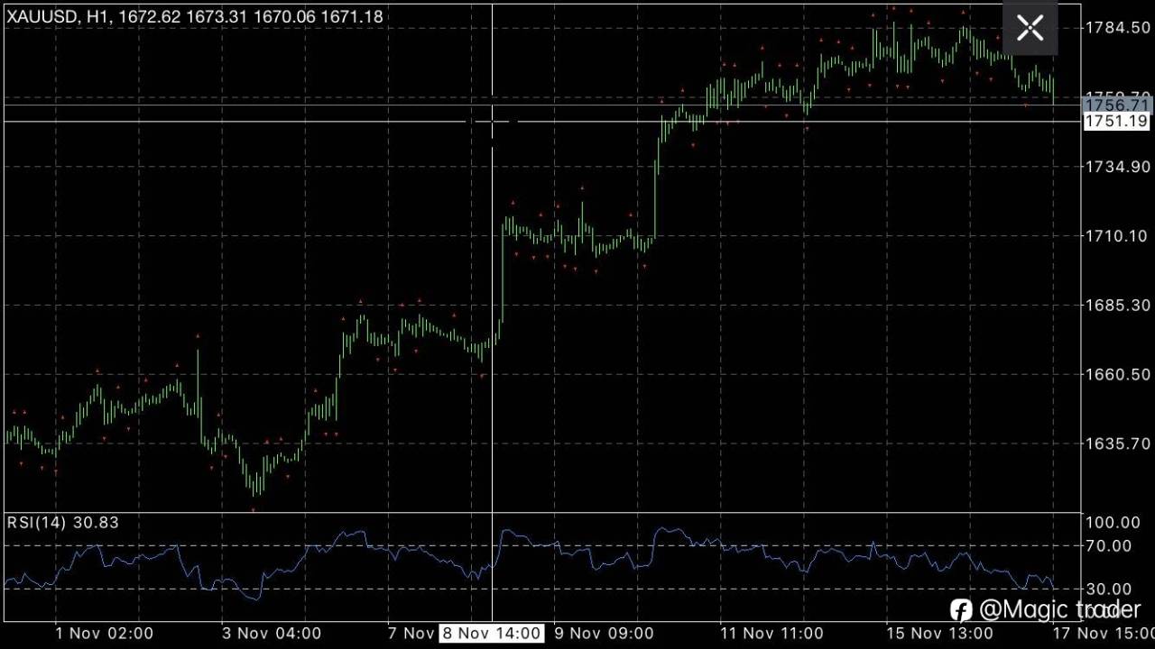 feed-image-0