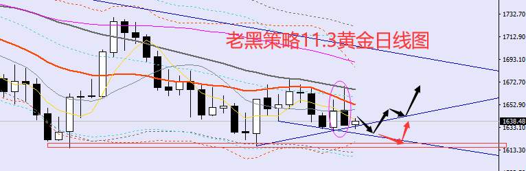 老黑策略：11.3外汇、黄金、原油分析策略