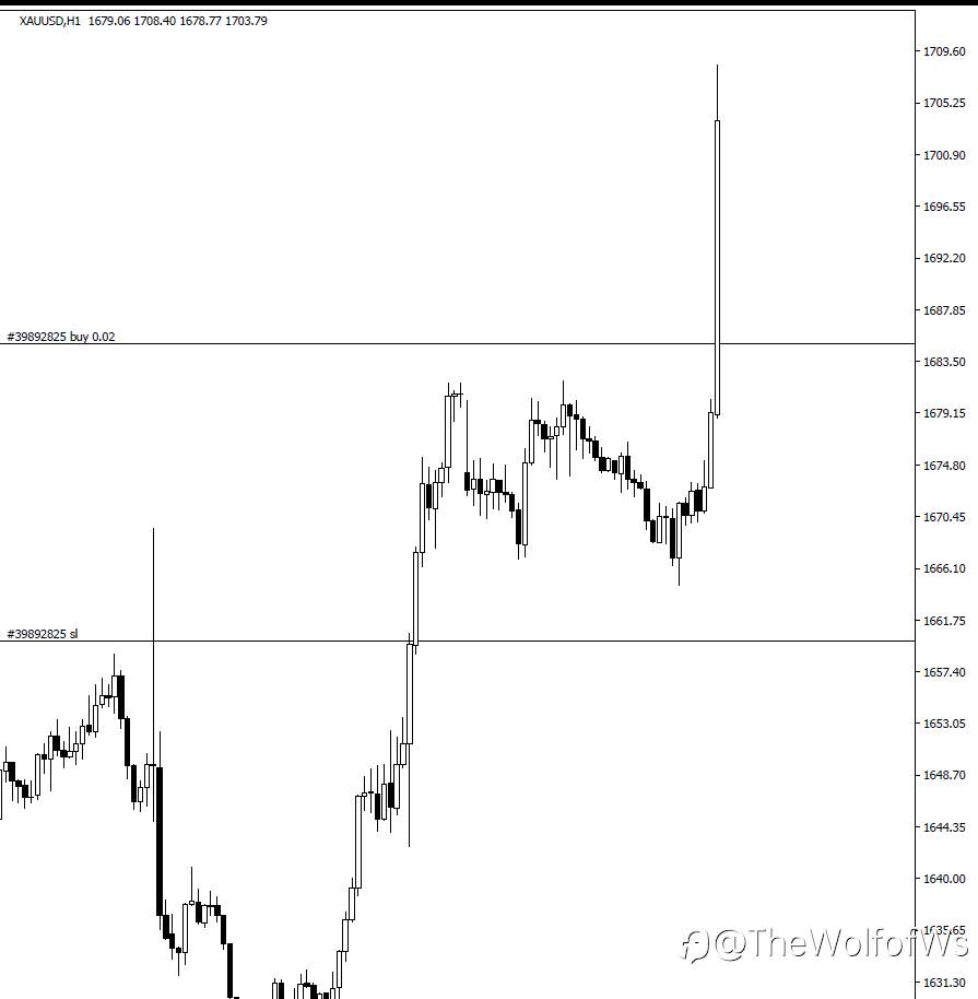 feed-image-1