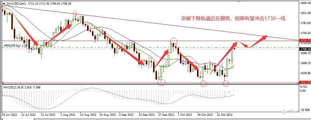 机构多头入场 黄金突起暴阳
