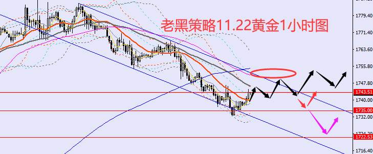 老黑策略：11.22外汇、黄金、原油分析策略