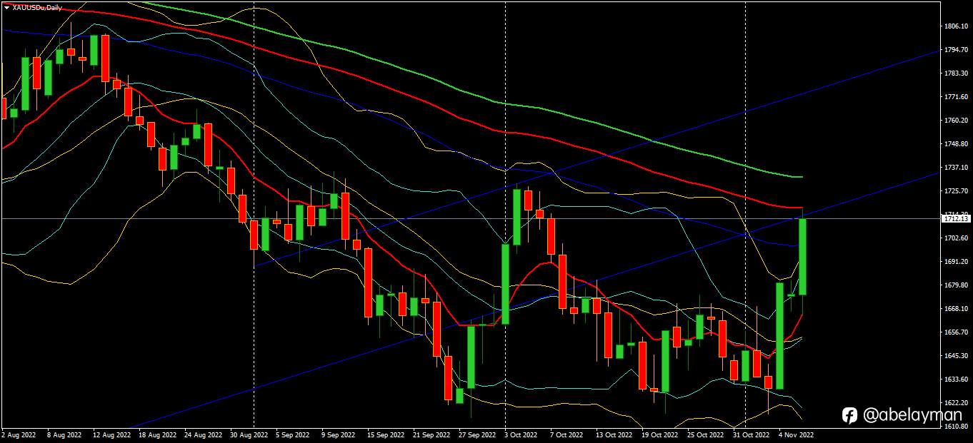 Golden bulls update.