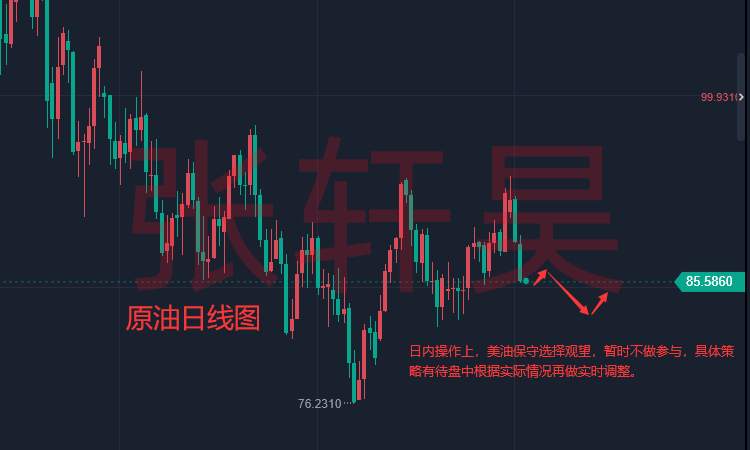 张轩昊：黄金横盘静待CPI数据，原油势弱有望重回80关口