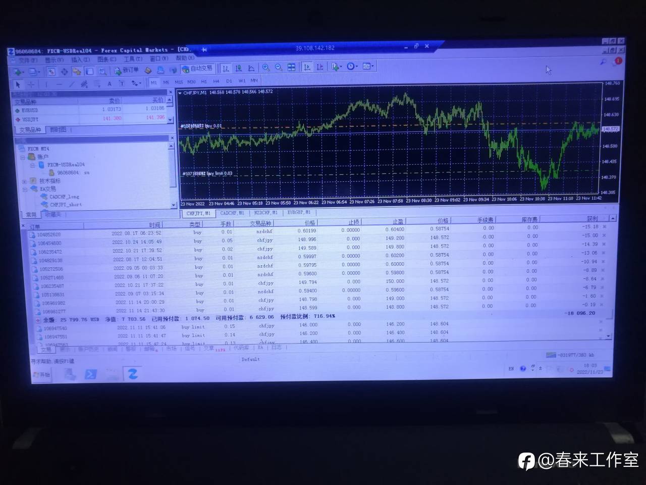 feed-image-1