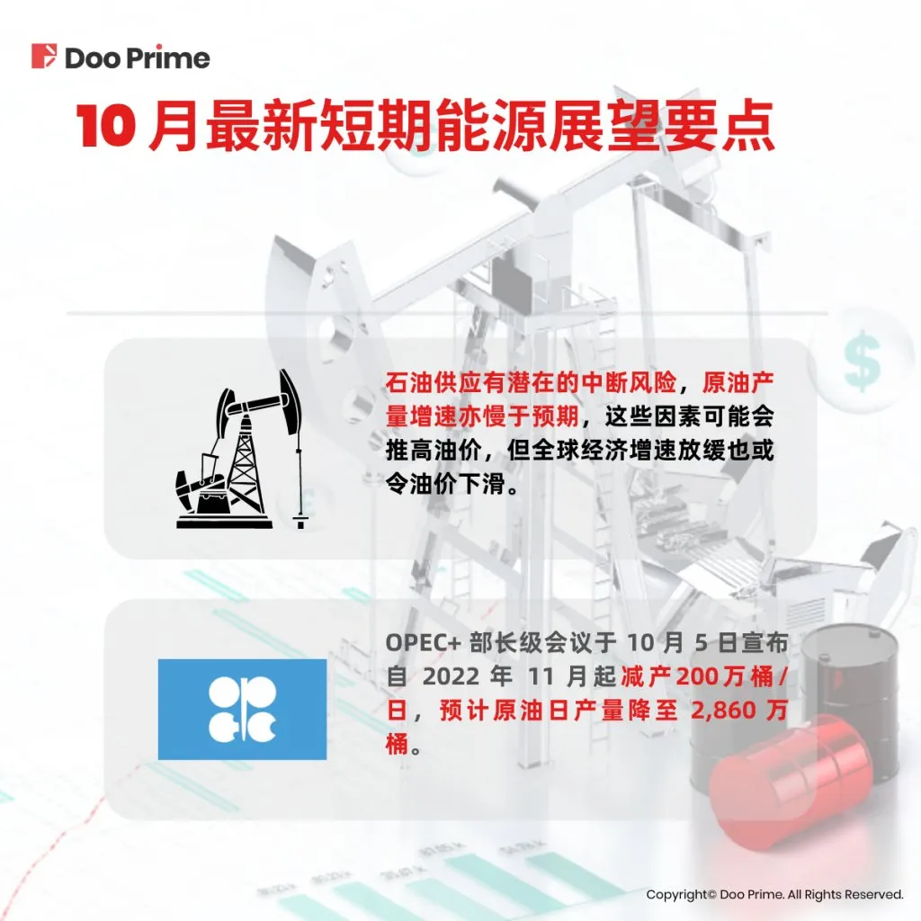 实用教程 | 回首过去，展望未来：2022 年能源走势