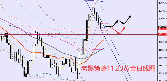 老黑策略：11.23外汇、黄金、原油分析策略