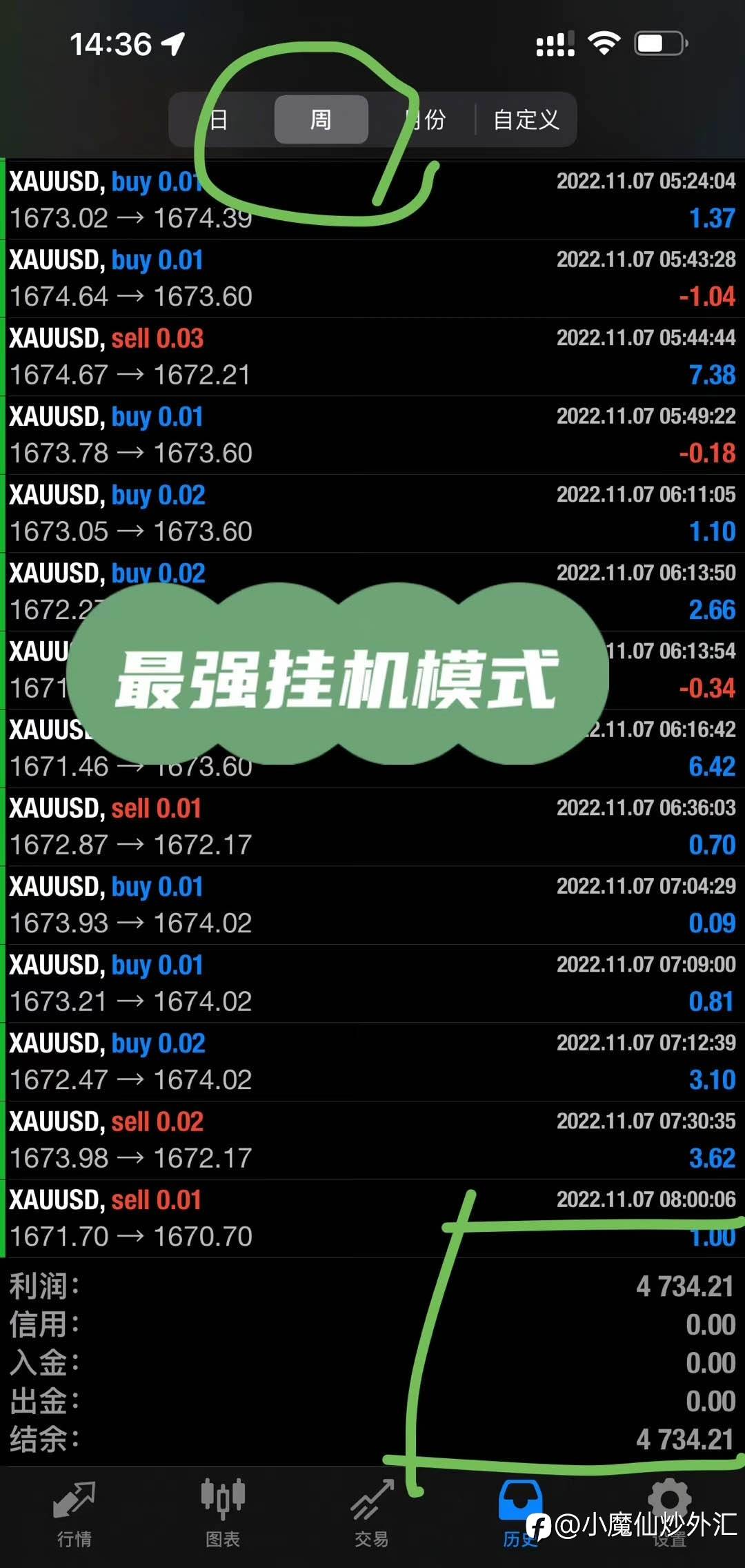 feed-image-0