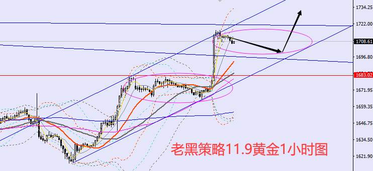 老黑策略：​11.9外汇、黄金、原油分析策略