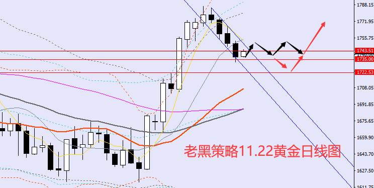 老黑策略：11.22外汇、黄金、原油分析策略