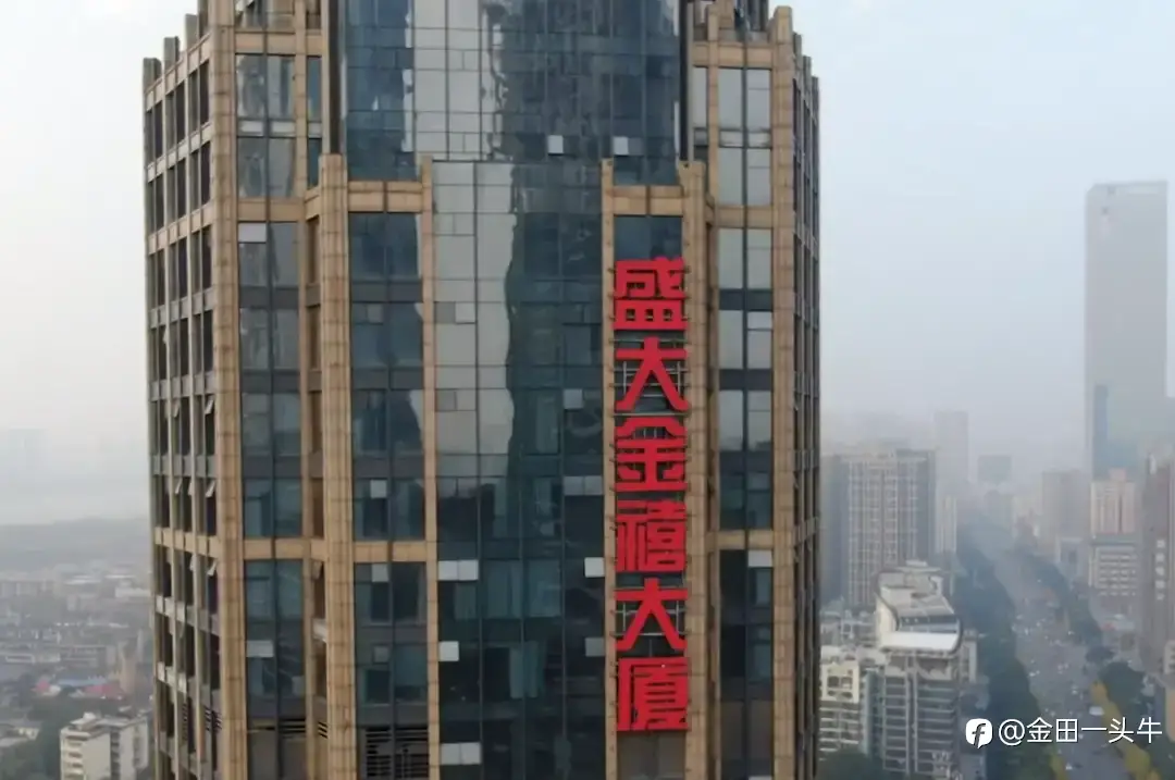 盛大金禧暴雷事件二