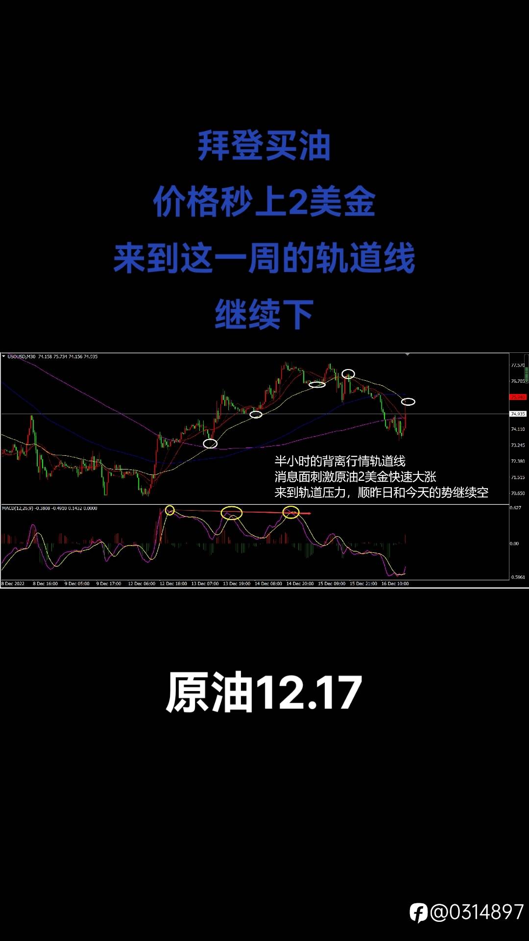 feed image