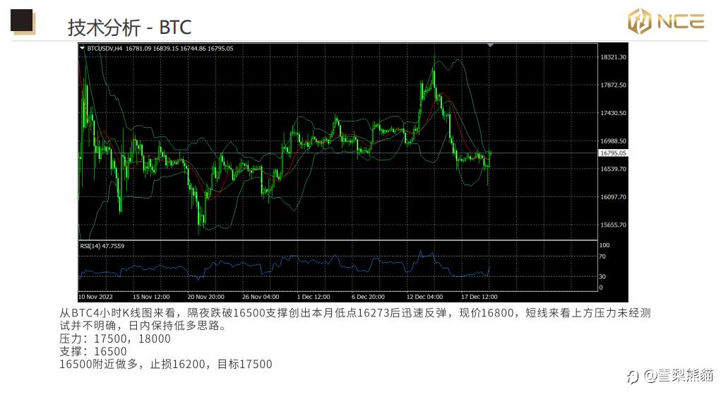 20/12 NCE日报