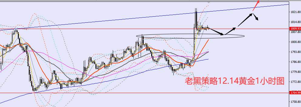 老黑策略：​12.14外汇、黄金、原油分析策略