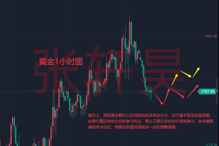 张轩昊：通胀数据与美联储决议搅动市场，黄金走势分析