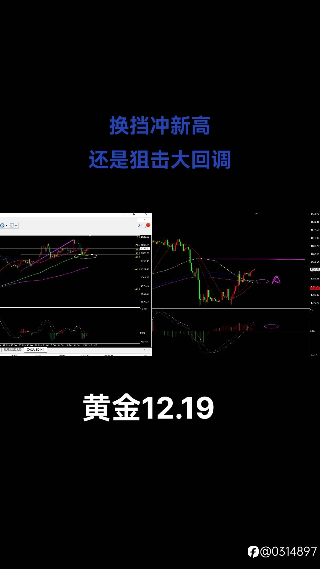 feed image