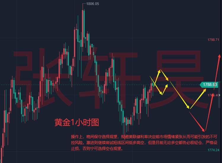 张轩昊：CPI来临，黄金该如何操作？黄金走势分析