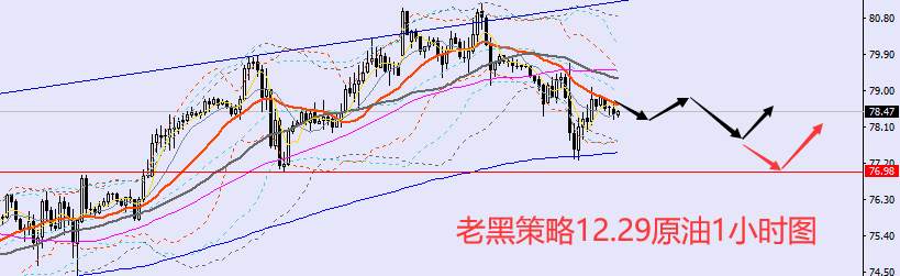 老黑策略：12.29外汇、黄金、原油分析策略