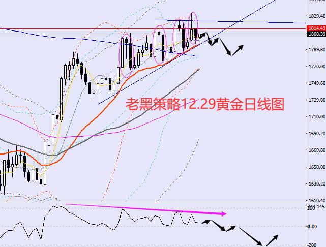 老黑策略：12.29外汇、黄金、原油分析策略