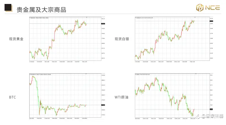 13/12NCE 日报