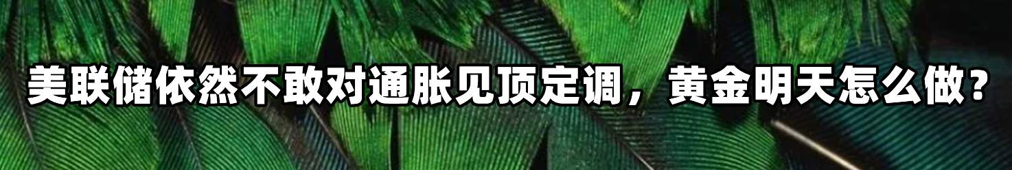 美联储依然不敢对通胀见顶定调，黄金明天怎么做？