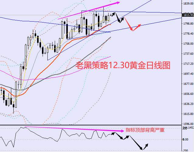 老黑策略：12.30外汇、黄金、原油分析策略