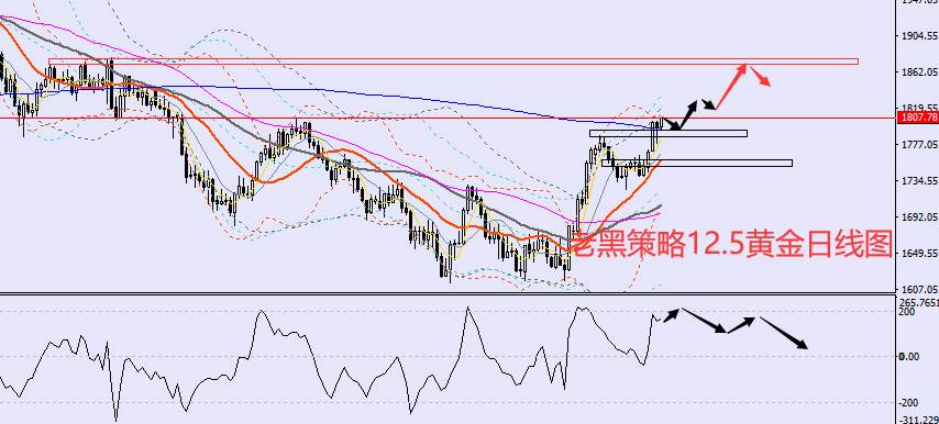 老黑策略：​12.5外汇、黄金、原油分析策略