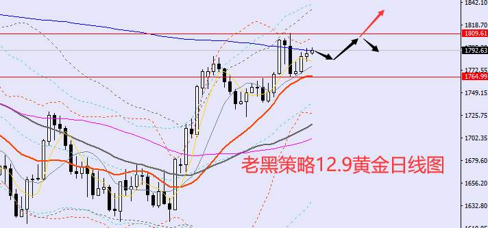 老黑策略：12.9外汇、黄金、原油分析策略