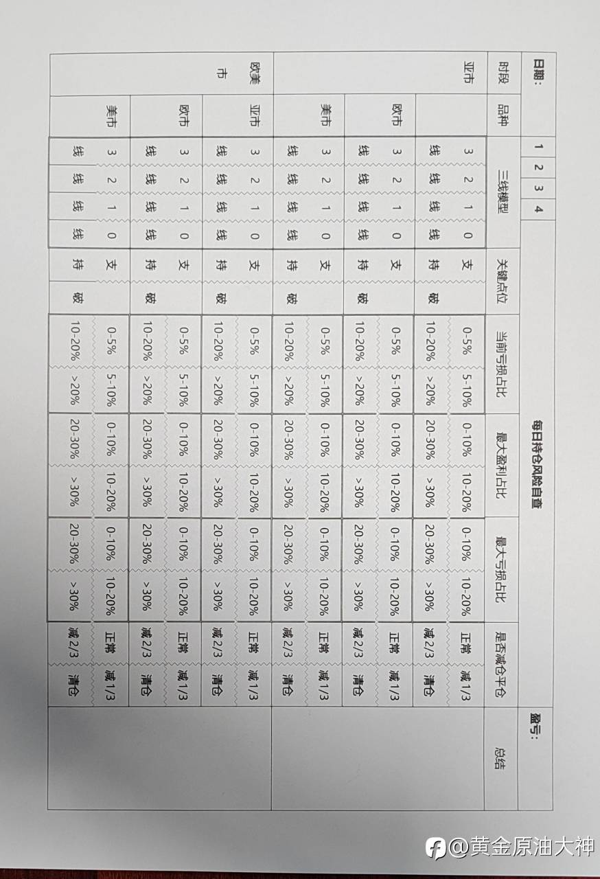 每日风控自查表格