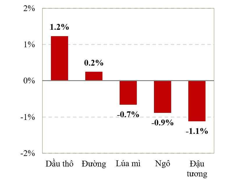 Trung Quốc báo cáo ca tử vong do Covid sau khi dỡ bỏ lệnh kiểm soát