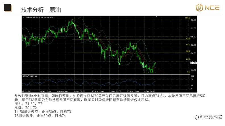 13/12NCE 日报