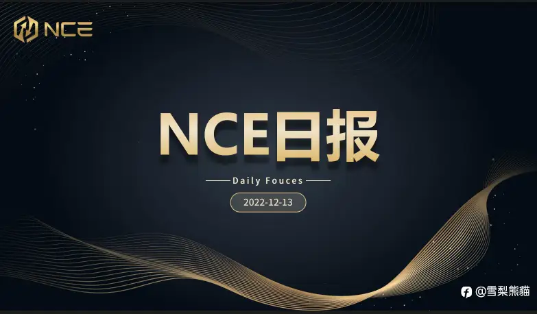 13/12NCE 日报