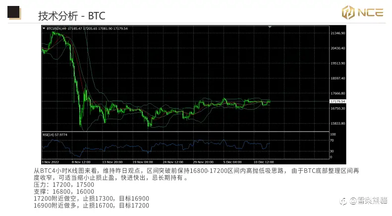 13/12NCE 日报