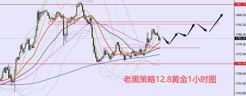 老黑策略：12.8外汇、黄金、原油分析策略