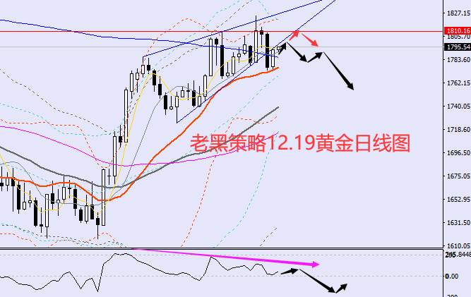 老黑策略：12.19外汇、黄金、原油分析策略