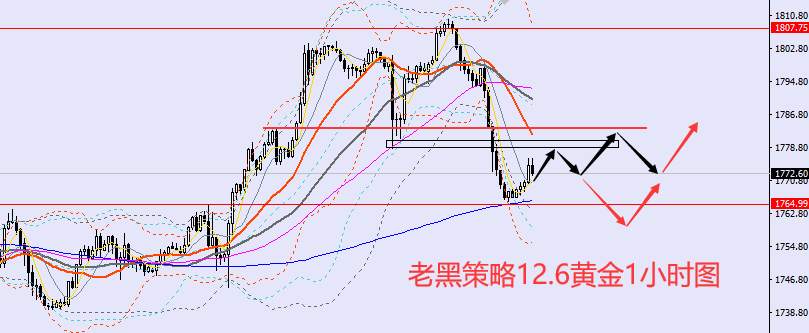 老黑策略：12.6外汇、黄金、原油分析策略
