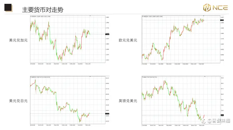 13/12NCE 日报