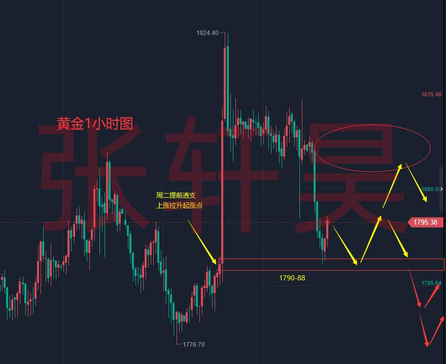 张轩昊：今日黄金最新走势分析，免费进群体验附解套
