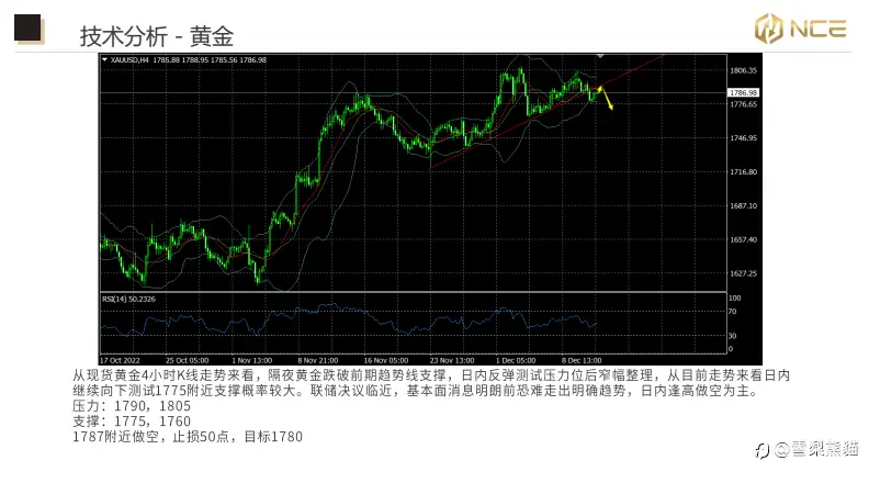 13/12NCE 日报