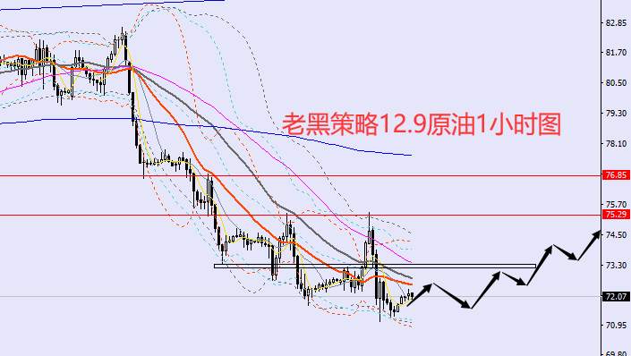 老黑策略：12.9外汇、黄金、原油分析策略