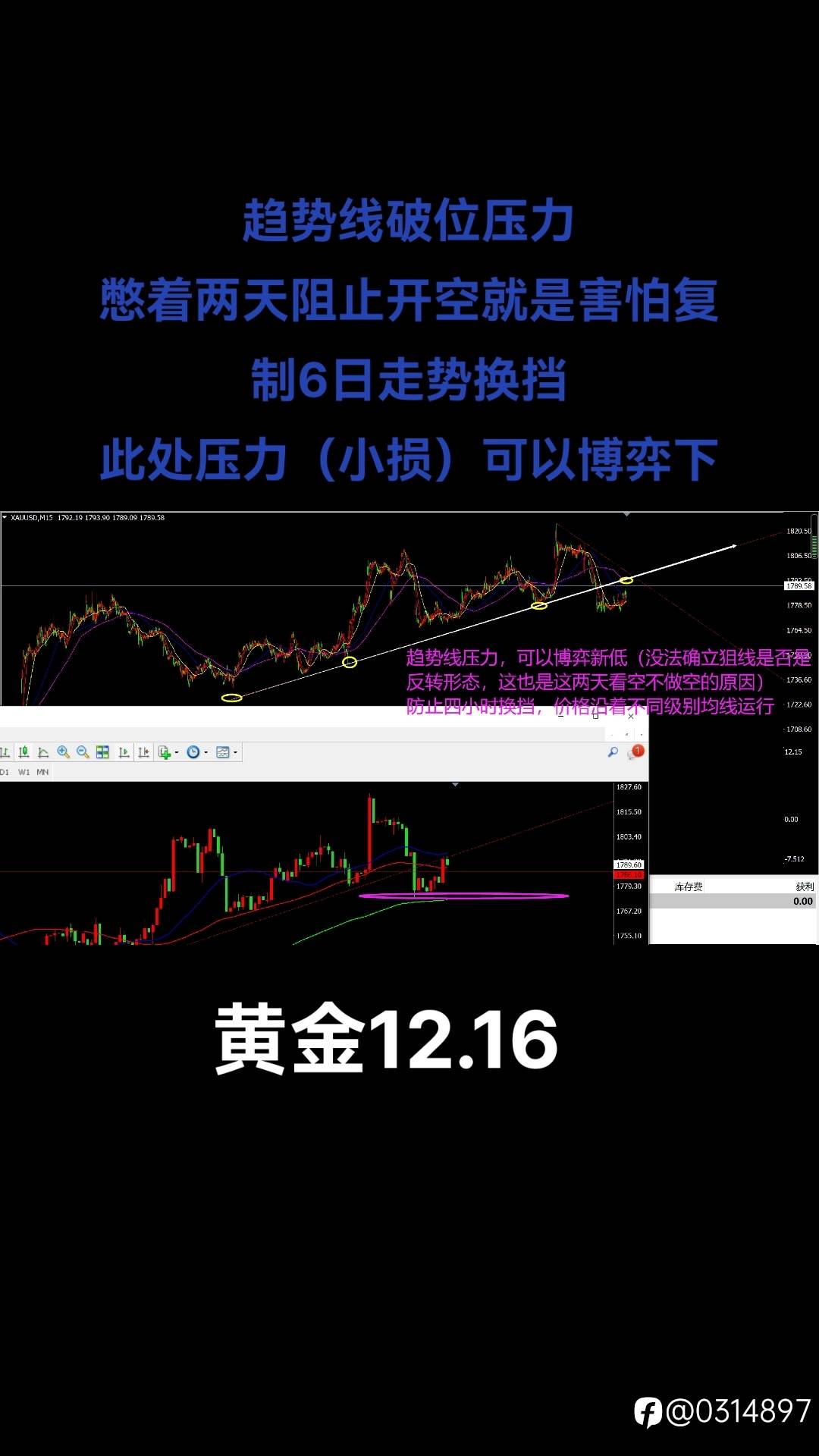 feed image